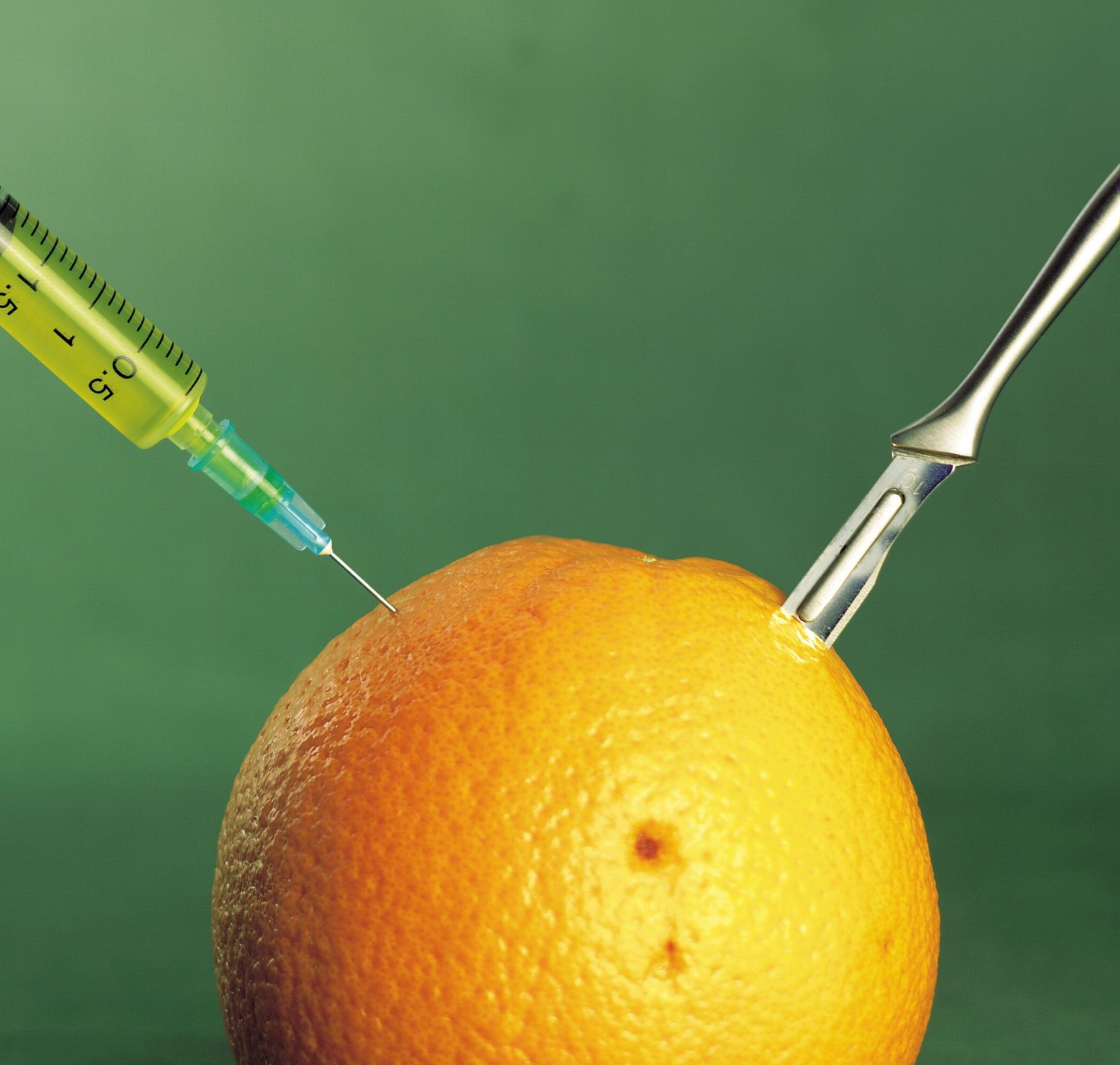 bedrog biologische producten china