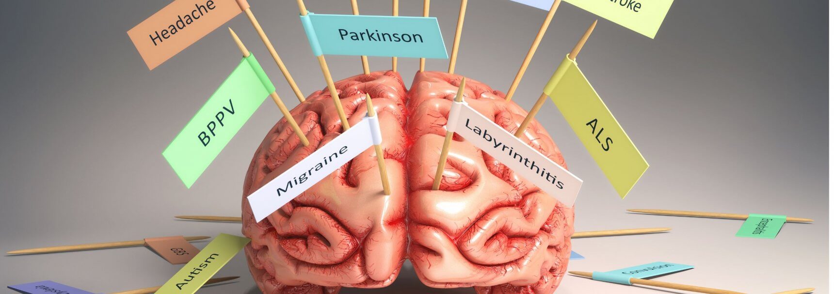 tarwe koolhydraten suiker brein
