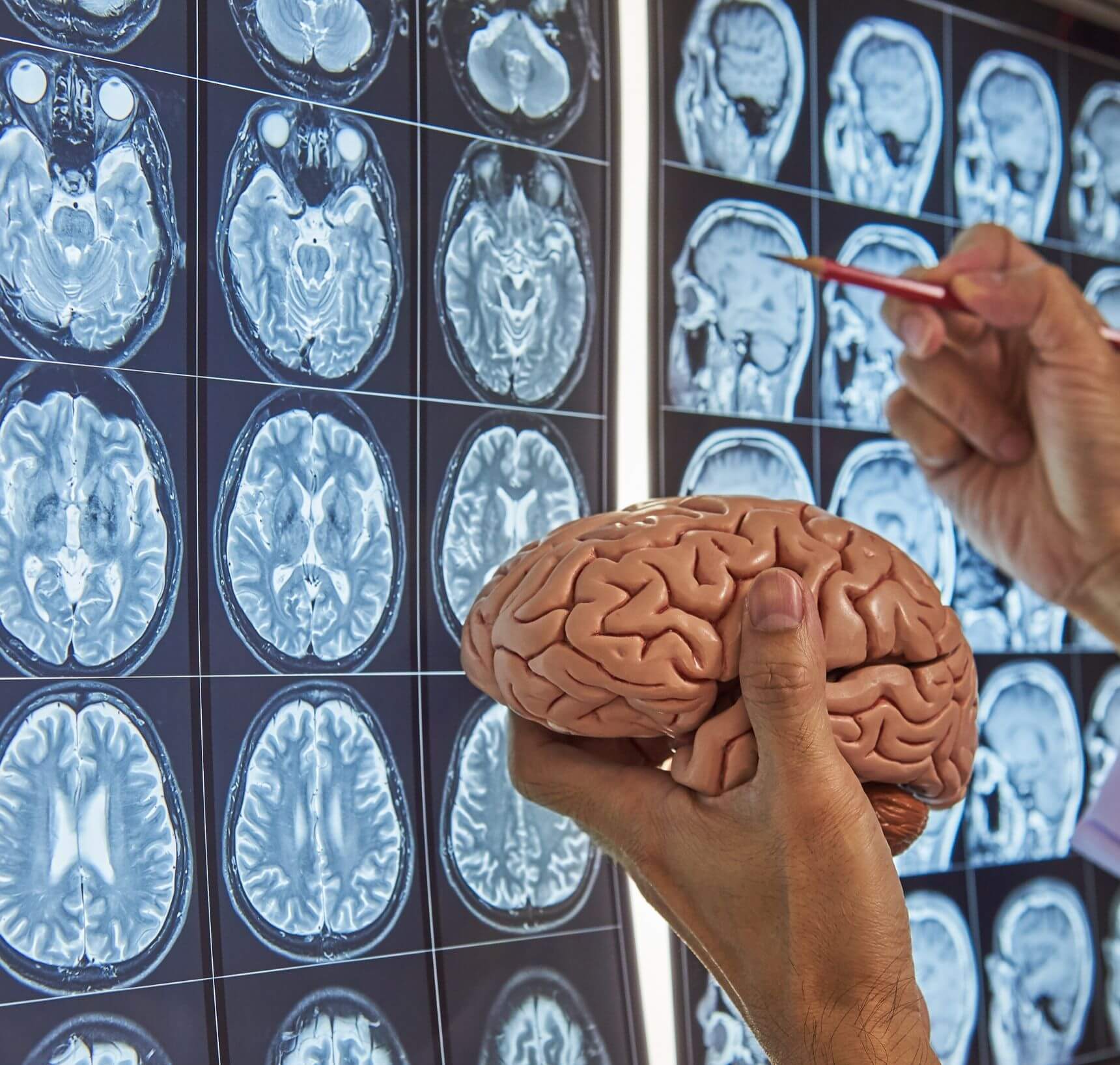 invloed suiker en tarwe op brein