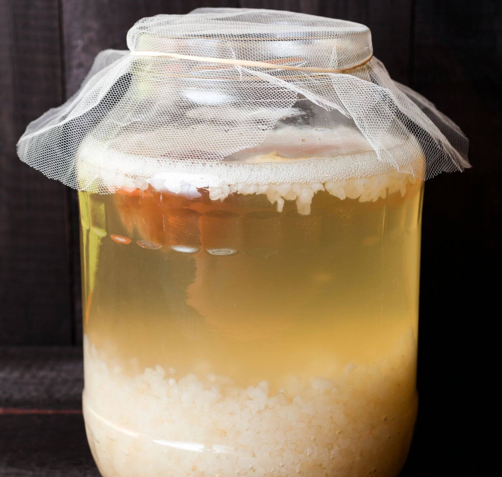 waterkefir