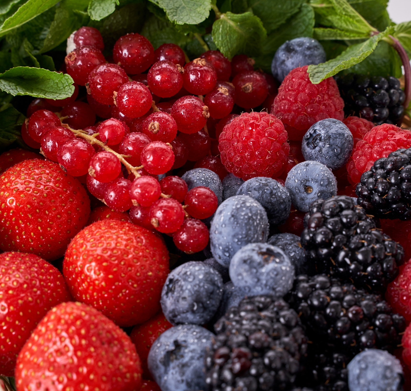 ontstekingsremmende voedingsmiddelen -uigelicht-blog